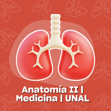 Anatomía II | Medicina | UNAL